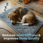 Sontivia CozyPaws™ Pad