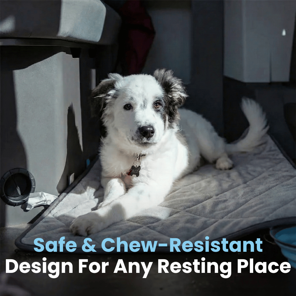 Sontivia CozyPaws™ Pad